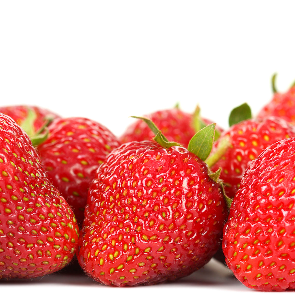 chandler strawberry seeds Strawberry - Chandler - Everbearing