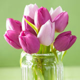Tulip - Easter Basket Mix