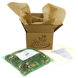 Tuberose - Polianthes - Single  Blooming Yellow