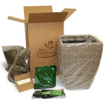 Canna - Angel Martin - Patio Kit - with Decorative Rattan Planter, Planting Medium & Root