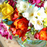 Freesia & Ranunculus - Grand Blend