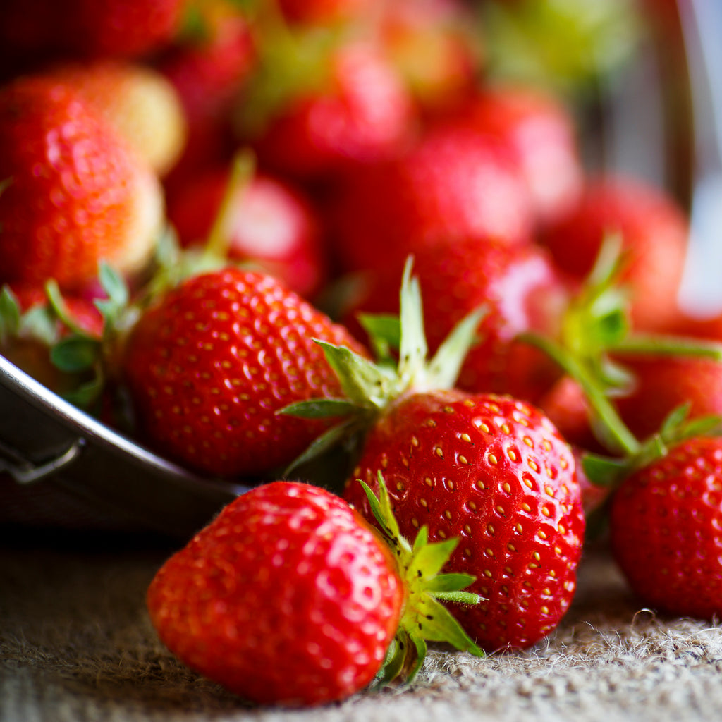 sequoia strawberry seeds Strawberry - Sequoia - Everbearing