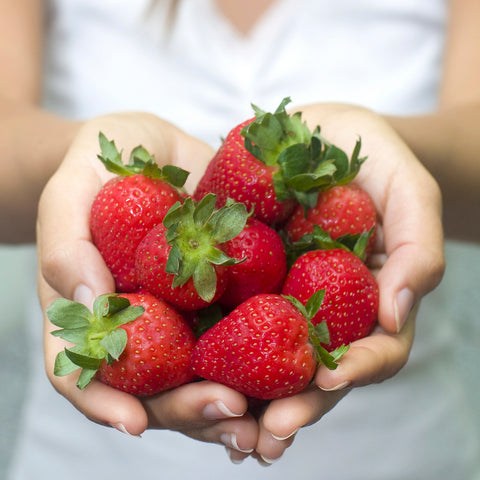 fort laramie strawberry seeds Strawberry - Fort Laramie - Everbearing