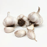 Garlic - Softneck - Asiatic Spring Violet