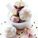 Garlic - Softneck - Asiatic Spring Violet