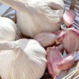 Garlic - Softneck - Silverskin Inchelium Red