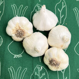 Garlic - Softneck - Artichoke Sicilian