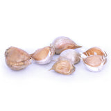 Garlic - Softneck - Artichoke Sicilian