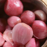 Dutch Shallot - Red