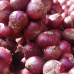 Dutch Shallot - Red
