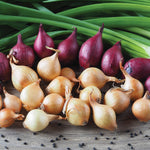 Fresh Crop Shallot Medley