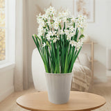 Narcissus - Paperwhite - Kit - Decorative Conical Plastic Planter