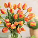 Bouquet of red and yellow tulips in a clear vase with a blurred background