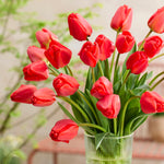 Bouquet of red tulips in a clear vase with a blurred background