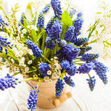 Color Your Garden Blue - Tulip, Muscari & Scilla - Collection