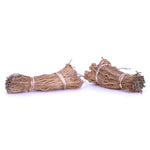 Asparagus - Mary Washington - GMO Free