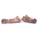 Asparagus - Mary Washington - GMO Free