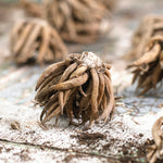 Freesia & Ranunculus - Grand Blend