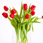 Tulip - Non-Stop Red Blend