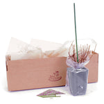 Weigela - My Monet® Sunset - Proven Winners® - 4" Potted Rocketliners®