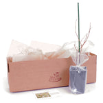 Salix - Hakuro Nishiki - 4" Potted Rocketliners®