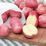 Potato - USDA Organic - Cherry Red W8893 - GMO Free