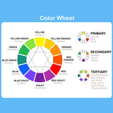 Color Your Garden Green - Collection