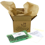 Babiana stricta - Mix