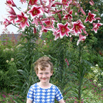 Lily - Friso