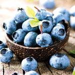 Blueberry - Patch Collection - GMO Free