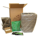 Elephant Ear - Hawaiian Punch - Patio Kit - with Decorative Rattan Planter, Planting Medium & Root