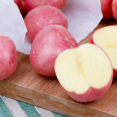 Potato - Dark Red Norland - USDA Organic - GMO Free