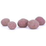 Potato - USDA Organic - Dark Red Norland - GMO Free