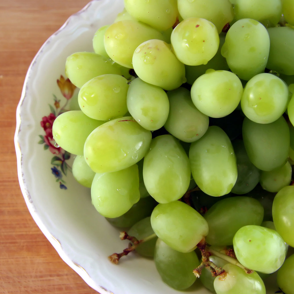 Grape - Marquis Seedless - GMO Free – Plantcetera