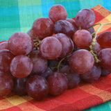 Grape - Einset Seedless - GMO Free