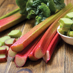 Rhubarb - Victoria