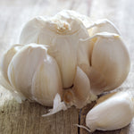 Garlic - Italian Late