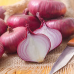 Onion Sets - Red