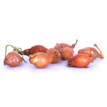 Dutch Shallot - Yellow
