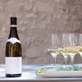 Premium Grafted Bareroot Grape Vine - Sauvignon Blanc