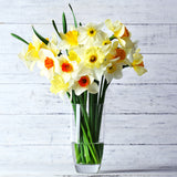 Daffodil - Cutting Garden Vase Mix