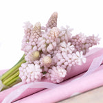 Muscari - Grape Hyacinth - Pink Sunrise
