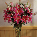 Lily - Oriental - Stargazer