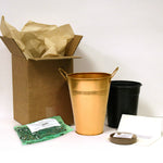 Calla - aethiopica - Kit - with Artisan Decorative Planter