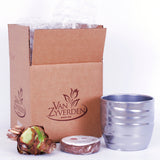 Amaryllis - Minerva - Kit - with Silver Swirl Ceramic Planter