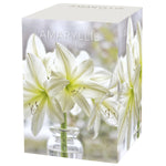 Amaryllis - Mont Blanc - Boxed Gift Kit