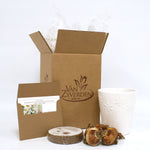 Narcissus - Paperwhite - Kit - with Ceramic White Snowflake Planter