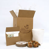 Narcissus - Paperwhite - Kit - with Ceramic White Snowflake Planter