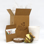 Amaryllis - Minerva - Kit - with Ceramic Red Snowflake Planter