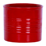 Narcissus - Paperwhite - Kit - with Ceramic Red Ribbed Planter